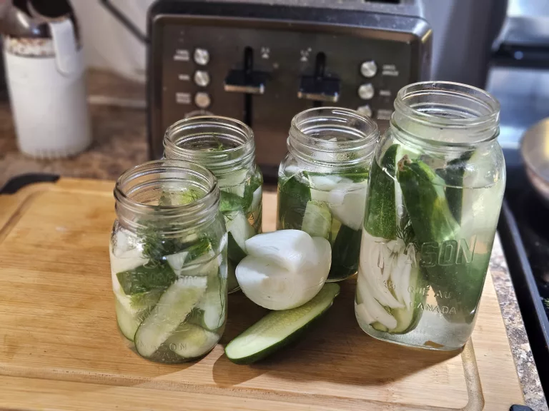 Cornichon à l'aneth