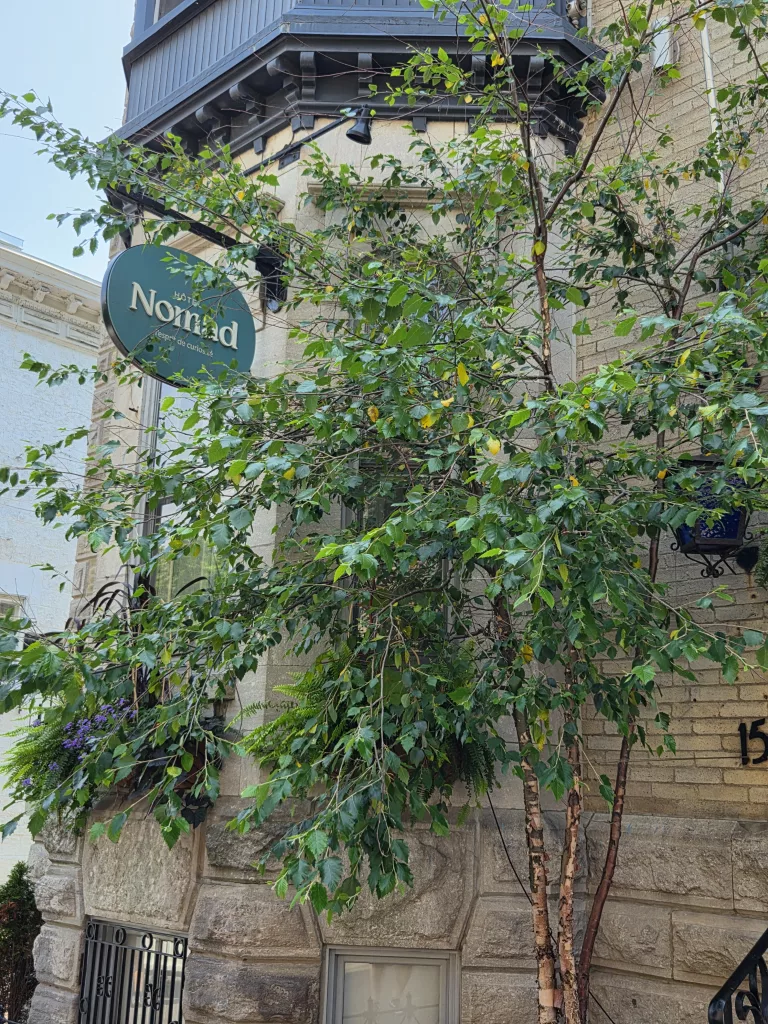Hôtel Nomad
